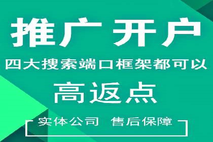网站sem托管案例分享：如何精准投放广告